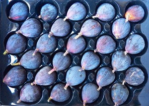 The Case for Figs