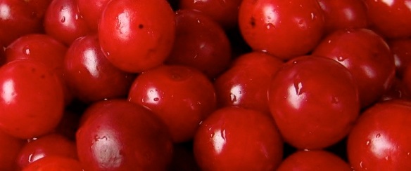 Tart Cherries - 1