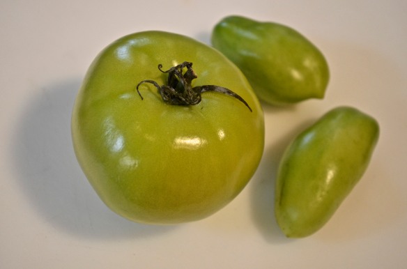 Green Tomatoes 1