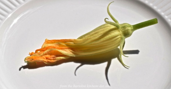 zucchini-blossoms-pasta-1