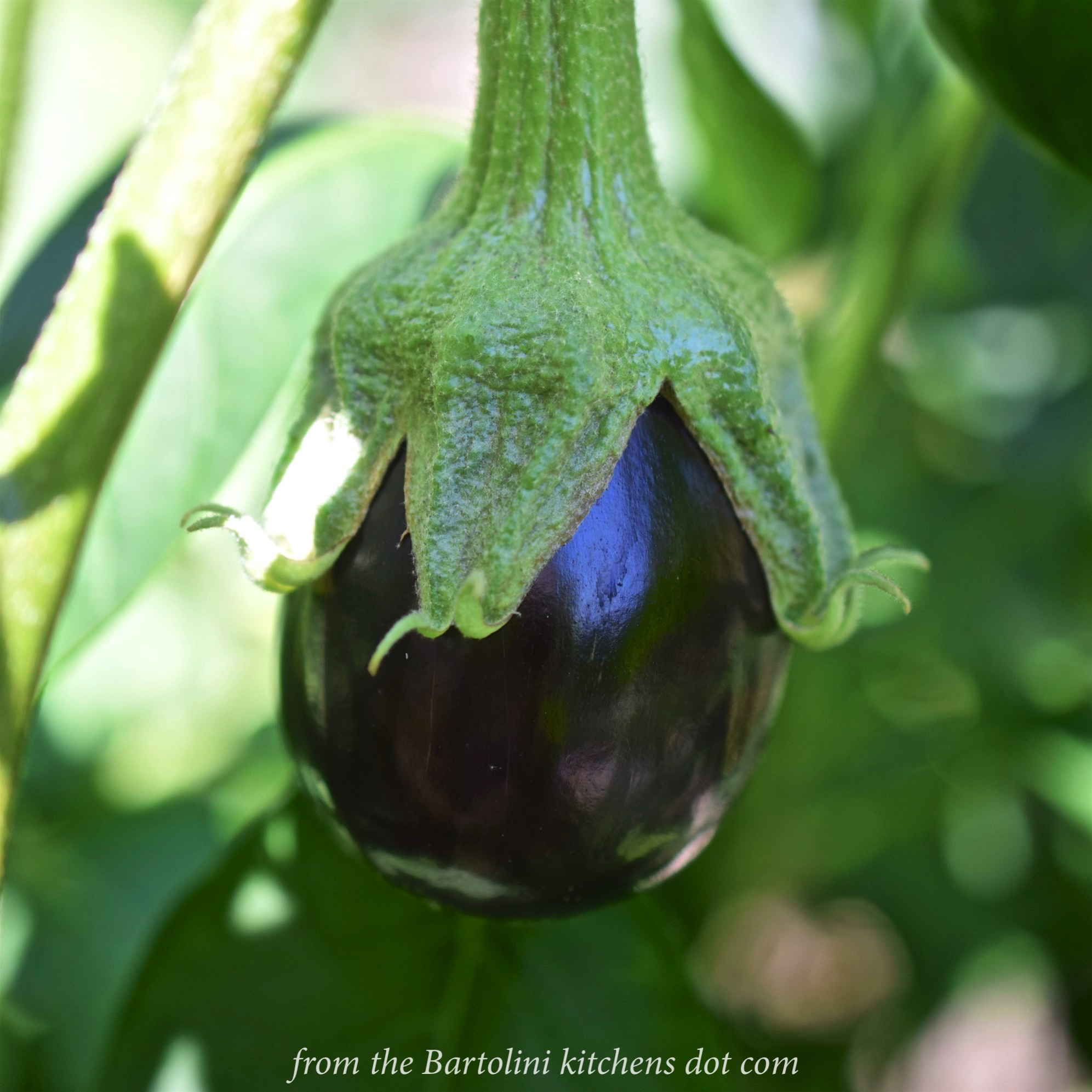 Slow Cooker General Tso’s Chicken from the Bartolini kitchens