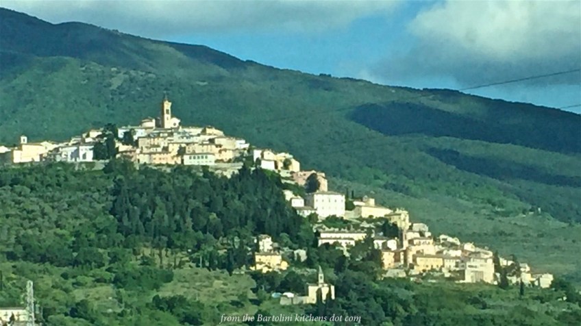 Along the way to Fiumincino during the last train ride.