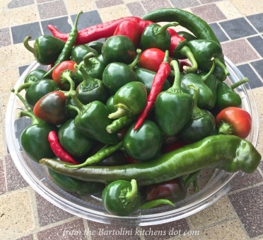 hot-pepper-relish-preview