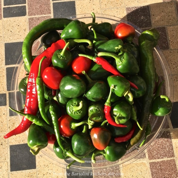 hot-pepper-relish-1